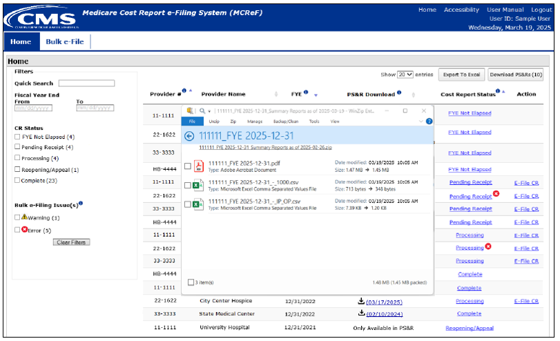 Report Download and Outputs